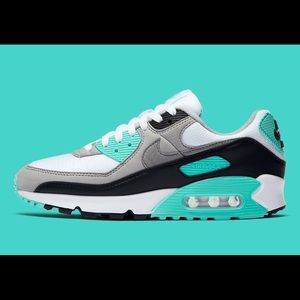 Nike Air Max 90 (worn twice)